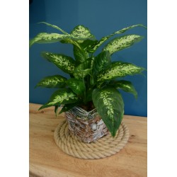 Corda di juta diametro 18mm